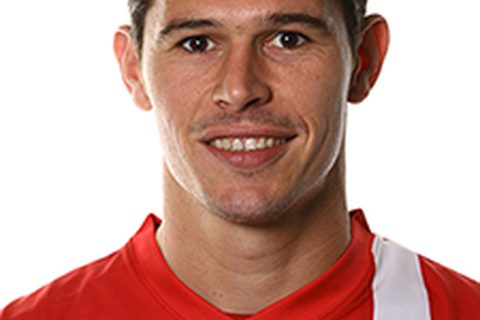 Nikola Žigić