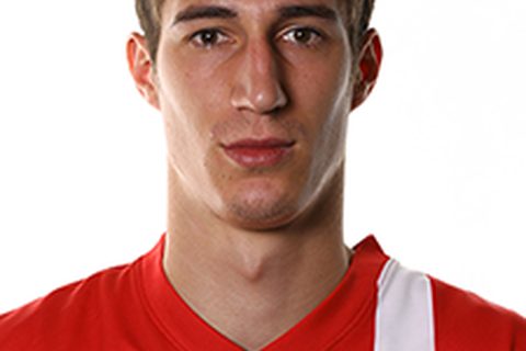 Radoslav Petrović